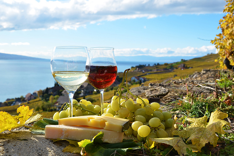 Taças de vinho em montanha