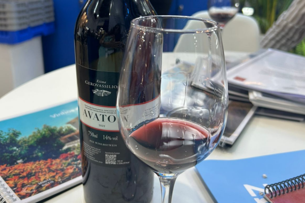 Vinho tinto em taça e garrafa