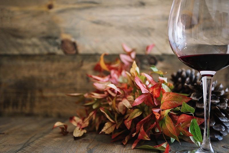 Taça de vinho e folhas outonais